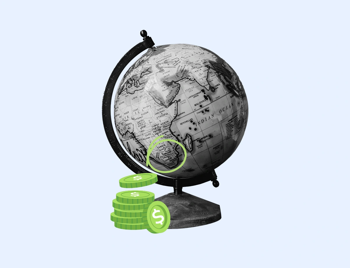 The image features a monochromatic globe with highlighted details and textures of continents and countries. In the foreground, stacks of coins with the dollar sign are arranged in increasing order, symbolizing financial growth or investment.